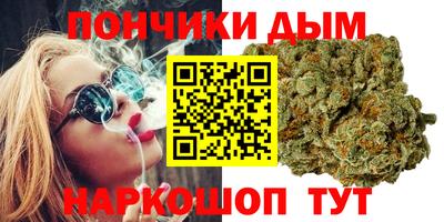 мдпв Новозыбков